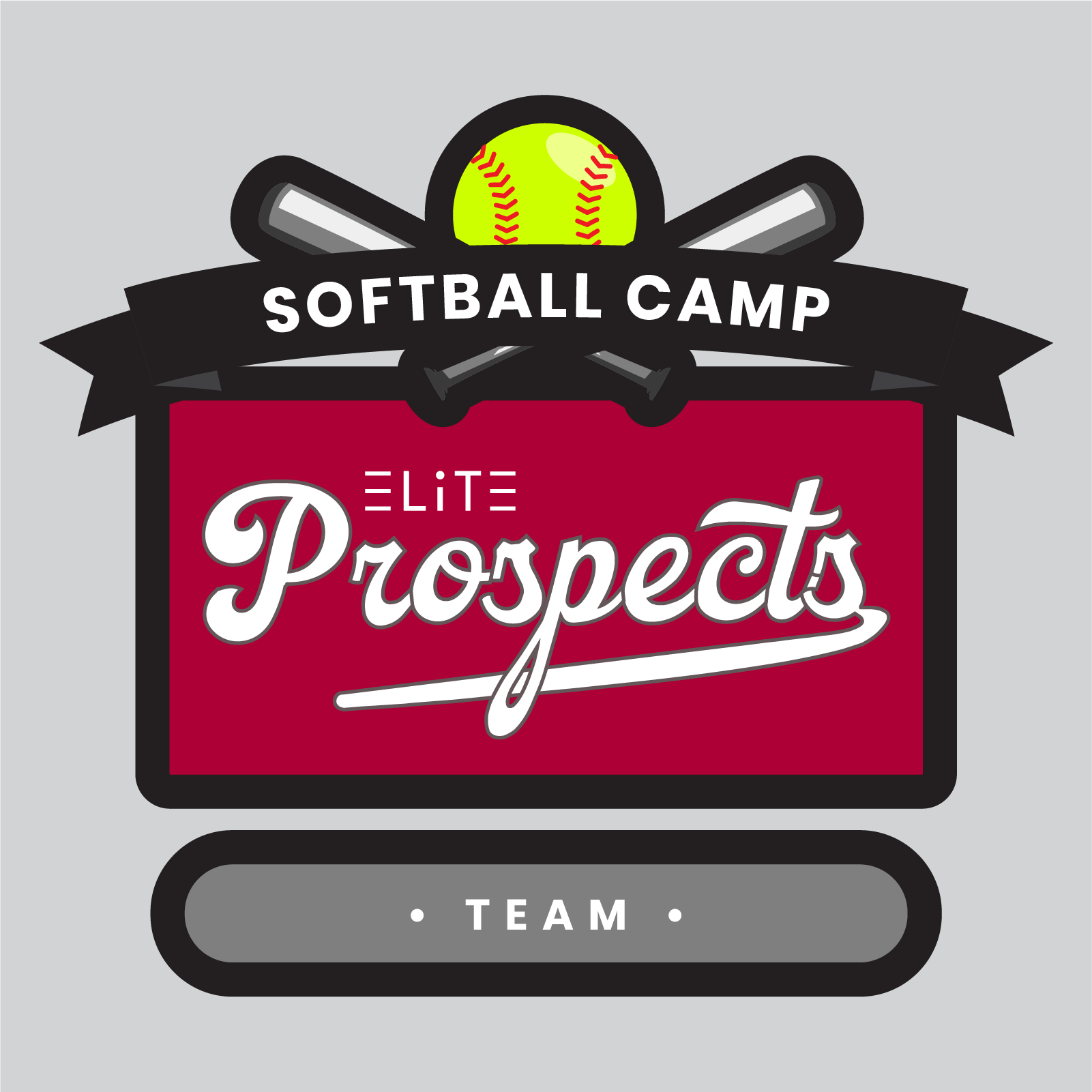 ELiTE Prospects | Softball Camp Team
